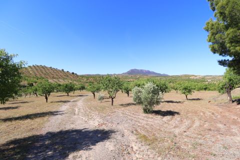 Landejendom i Velez-Rubio, Almeria, Velez-Rubio - € 170.000 | Ref: 3054-CH - foto 37
